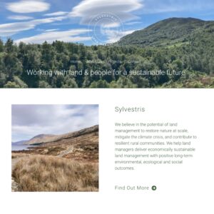 Web Design in Perthshire - Sylvestris